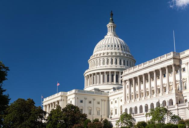 Image of the US Capital building