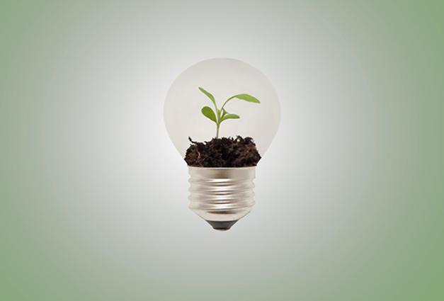 Image of a plant sprouting inside of a lighbulb