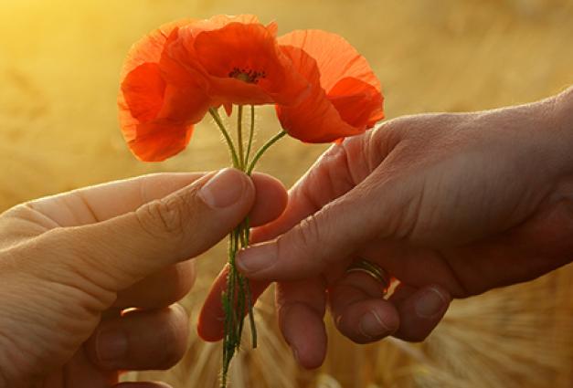 Person giving flower to another person