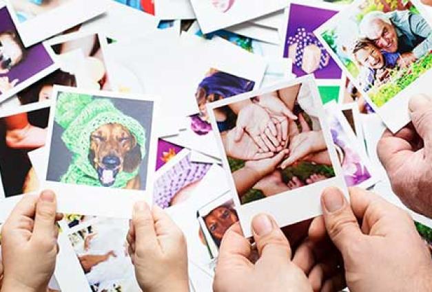 a group of hands hold polaorid pictures of family memories and dogs. the hands and photos are set above a background full of Polaroid pictures