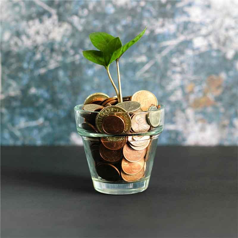 Small green plant growing in a cup of assorted coins